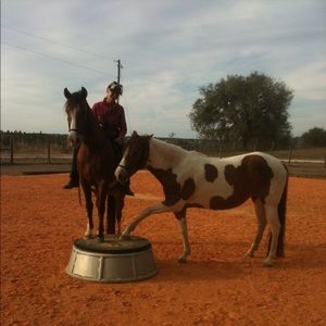 Meet your Posher, Katrina